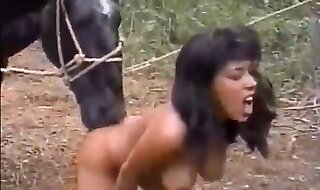 zoo girl porno