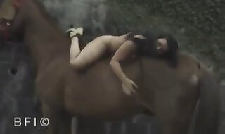 zoo porn