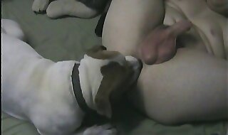 dog sex
