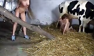 animal sex