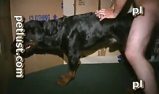 dog sex