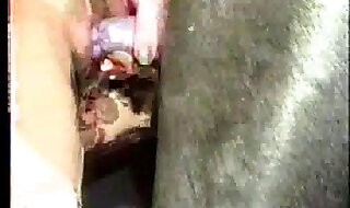 zoo fucking
